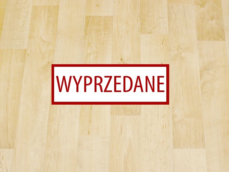 Dynamic Catal 2041 - wyprzedaż