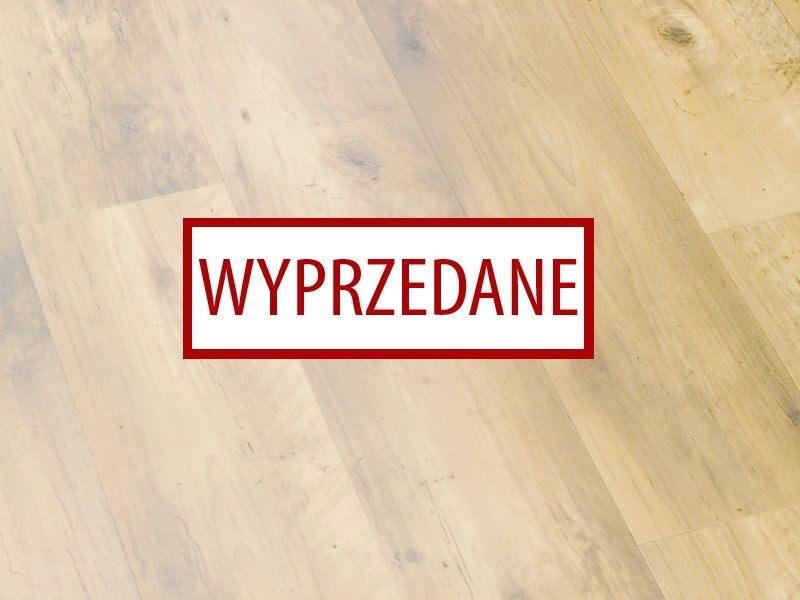 Dynamic Exton 4176 - wyprzedaż