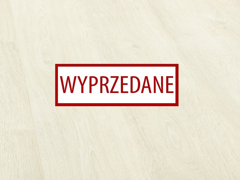 Classen Dąb Cassano Chiaro - wyprzedaż