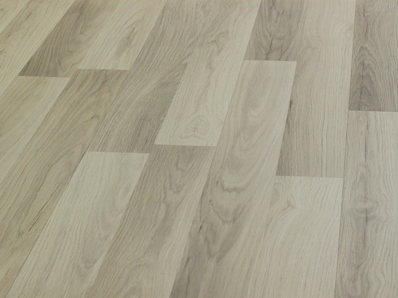 Classen Dąb Toronto