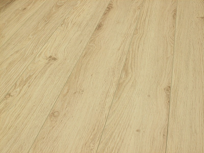 Classen Dąb Argenta Jasny