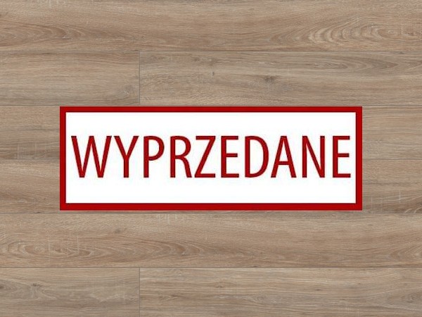 Classen Dąb Anderson wyprzedaż