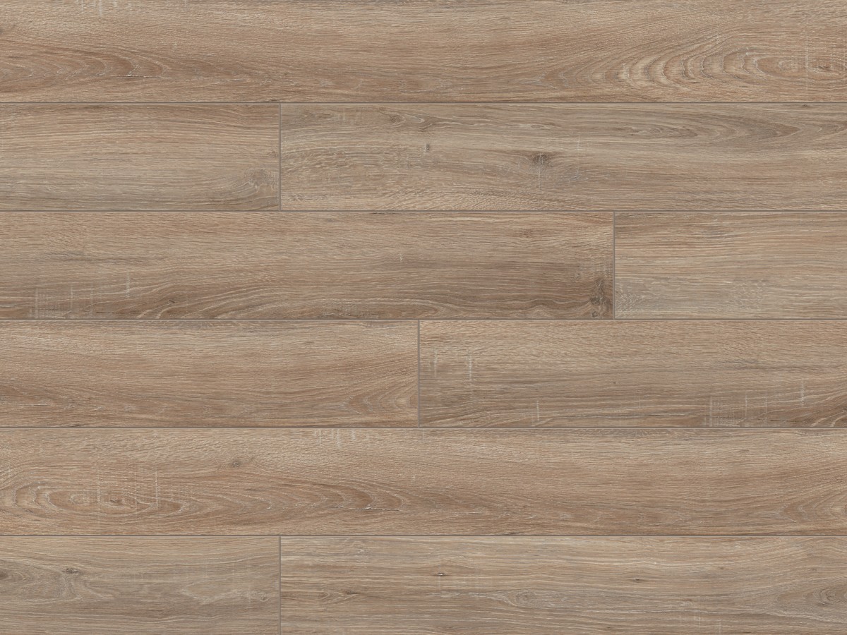 Classen Dąb Anderson wyprzedaż