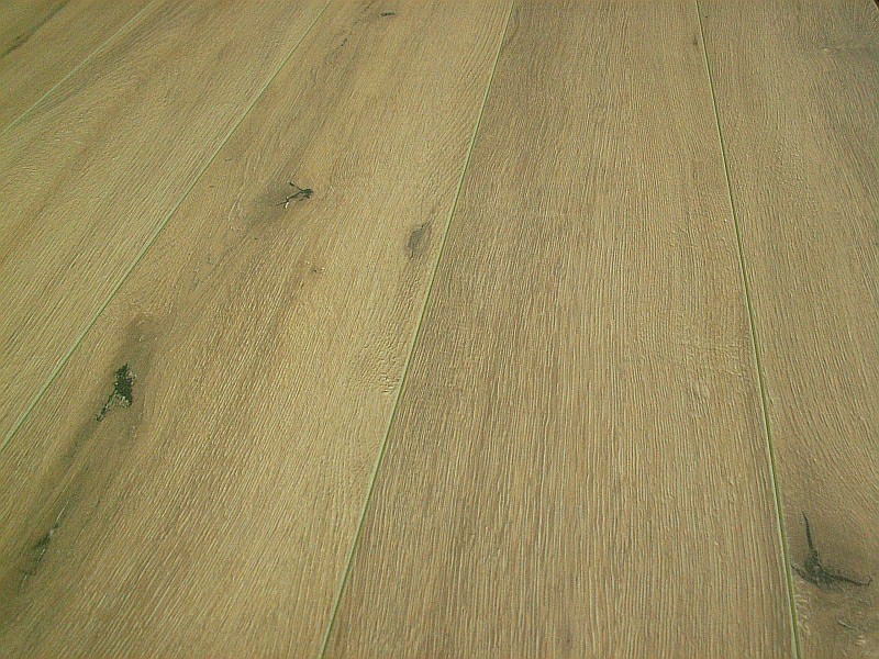 Classen Dąb Veroni wyprzedaż