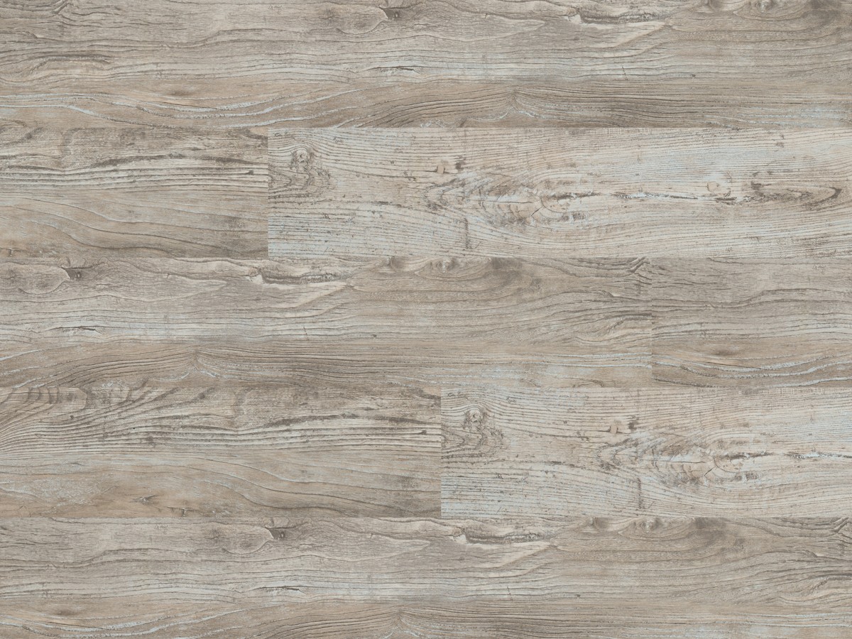 Classen Wiąz Prato wąska deska