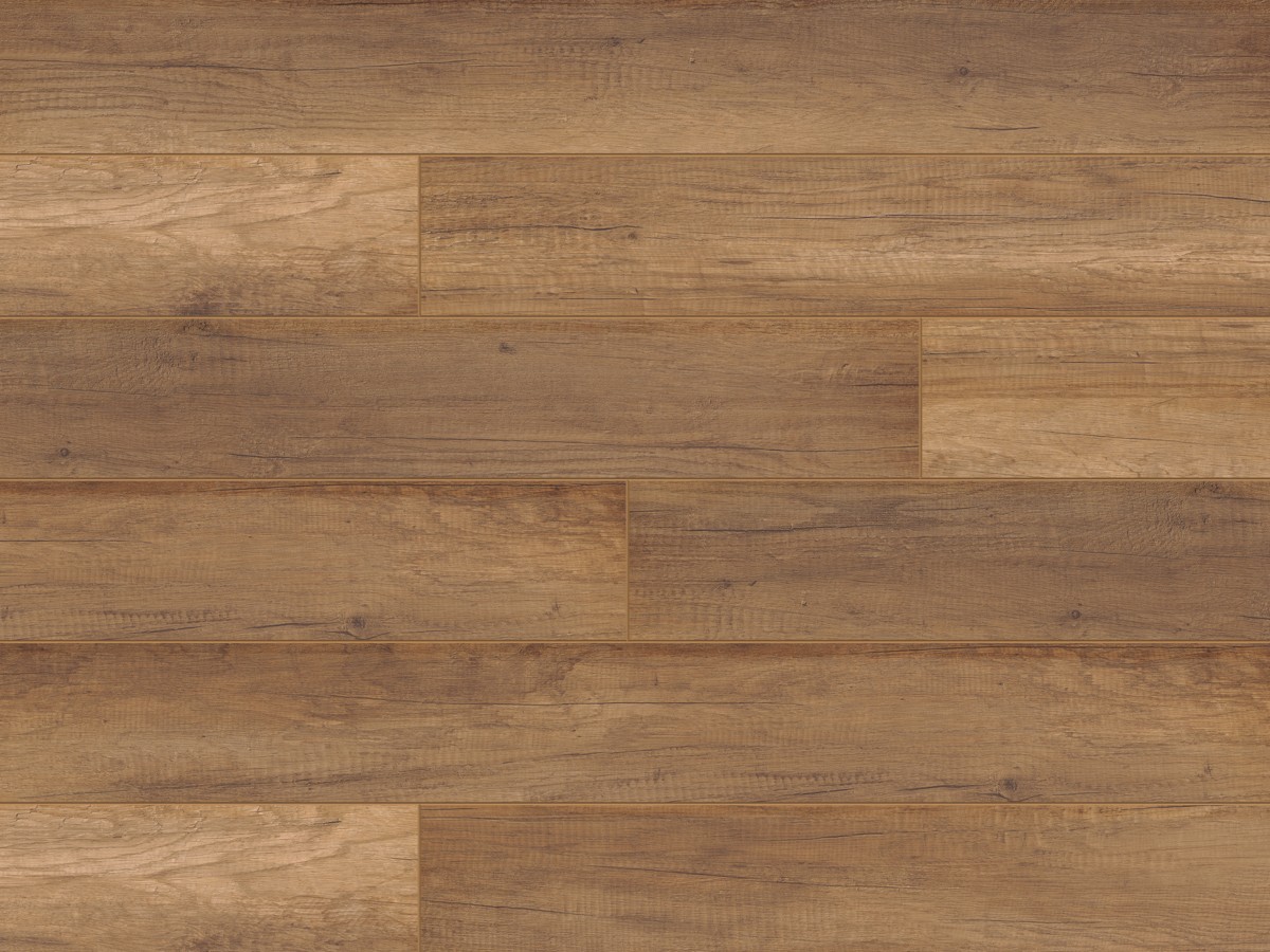 Classen Dąb Doncaster