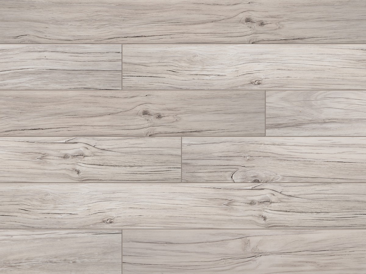 Classen Dąb Barletta