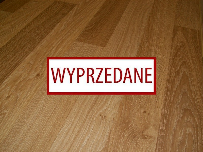 Classen Dąb Alcanta