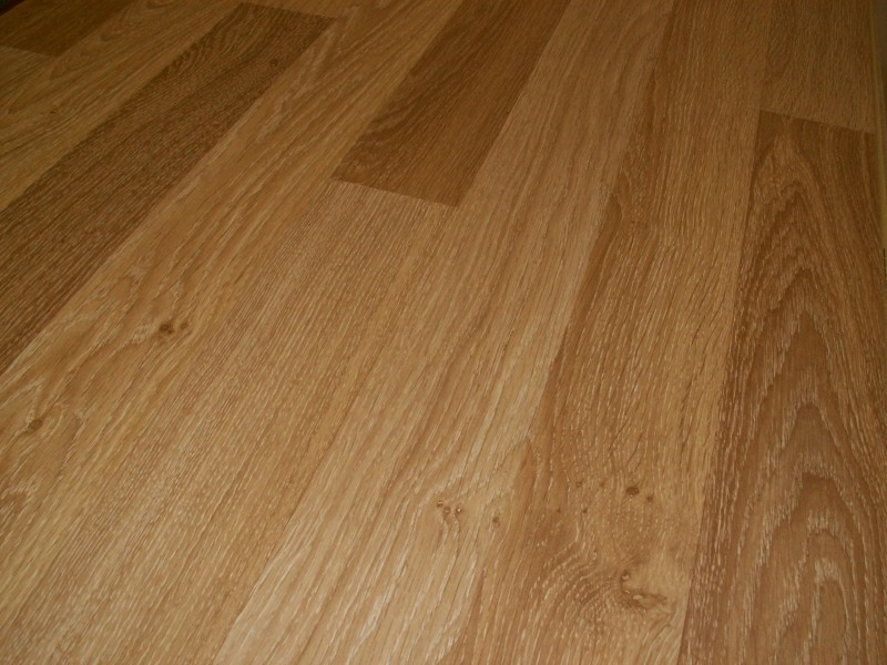 Classen Dąb Alcanta