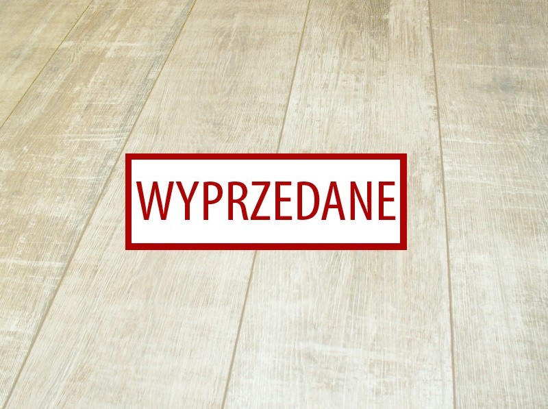 Classen Dąb Kansas Promocja