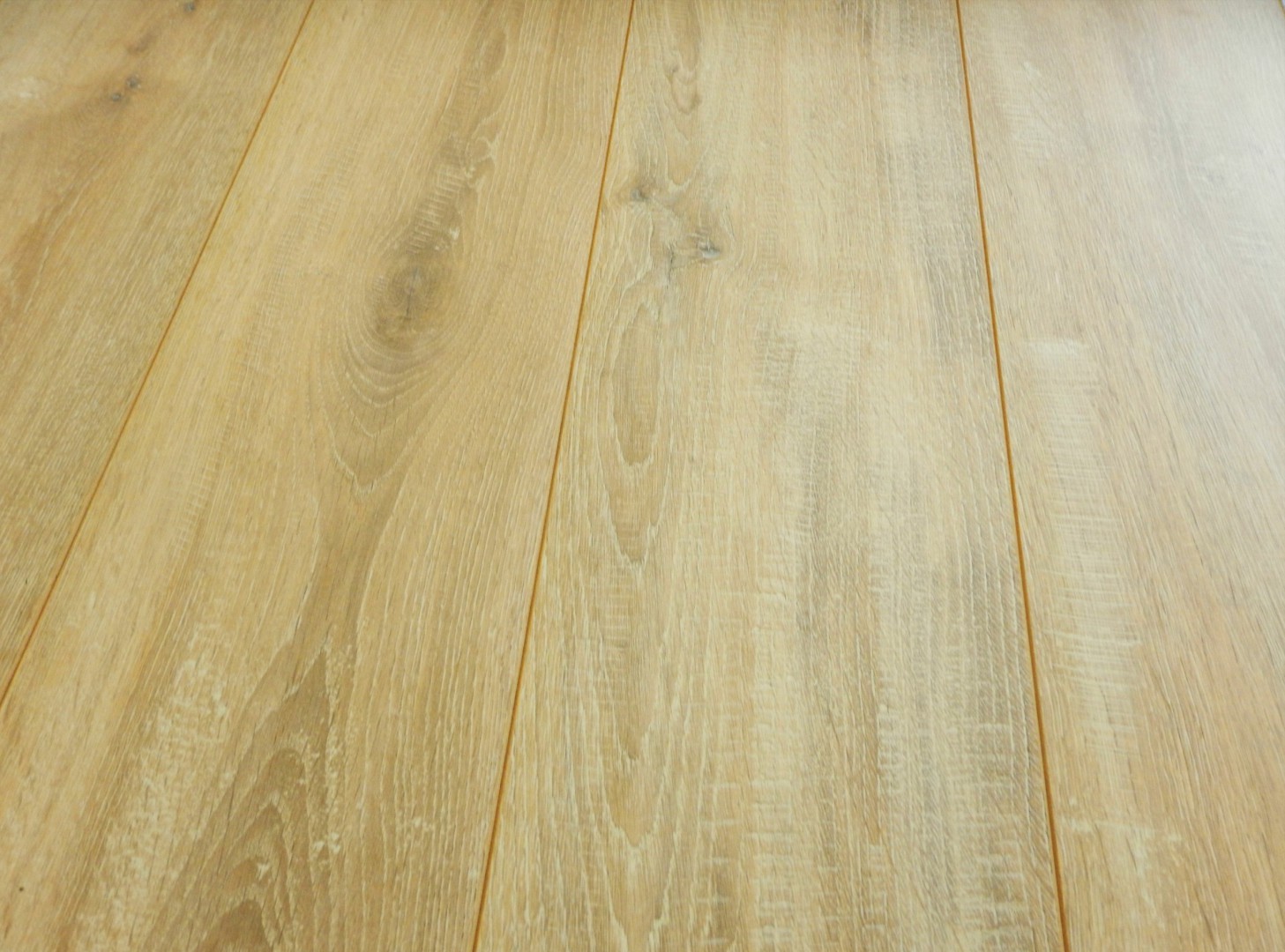 Classen Dąb Martossa