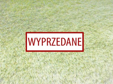 Trawa na taras i balkon Viola Super Lux