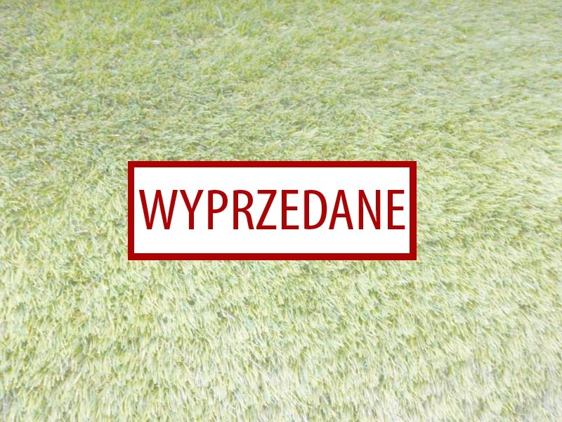 Trawa na taras i balkon Viola Super Lux