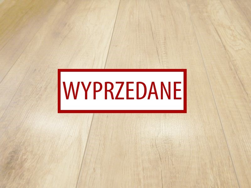 Weninger Smart Dąb Flamandzki