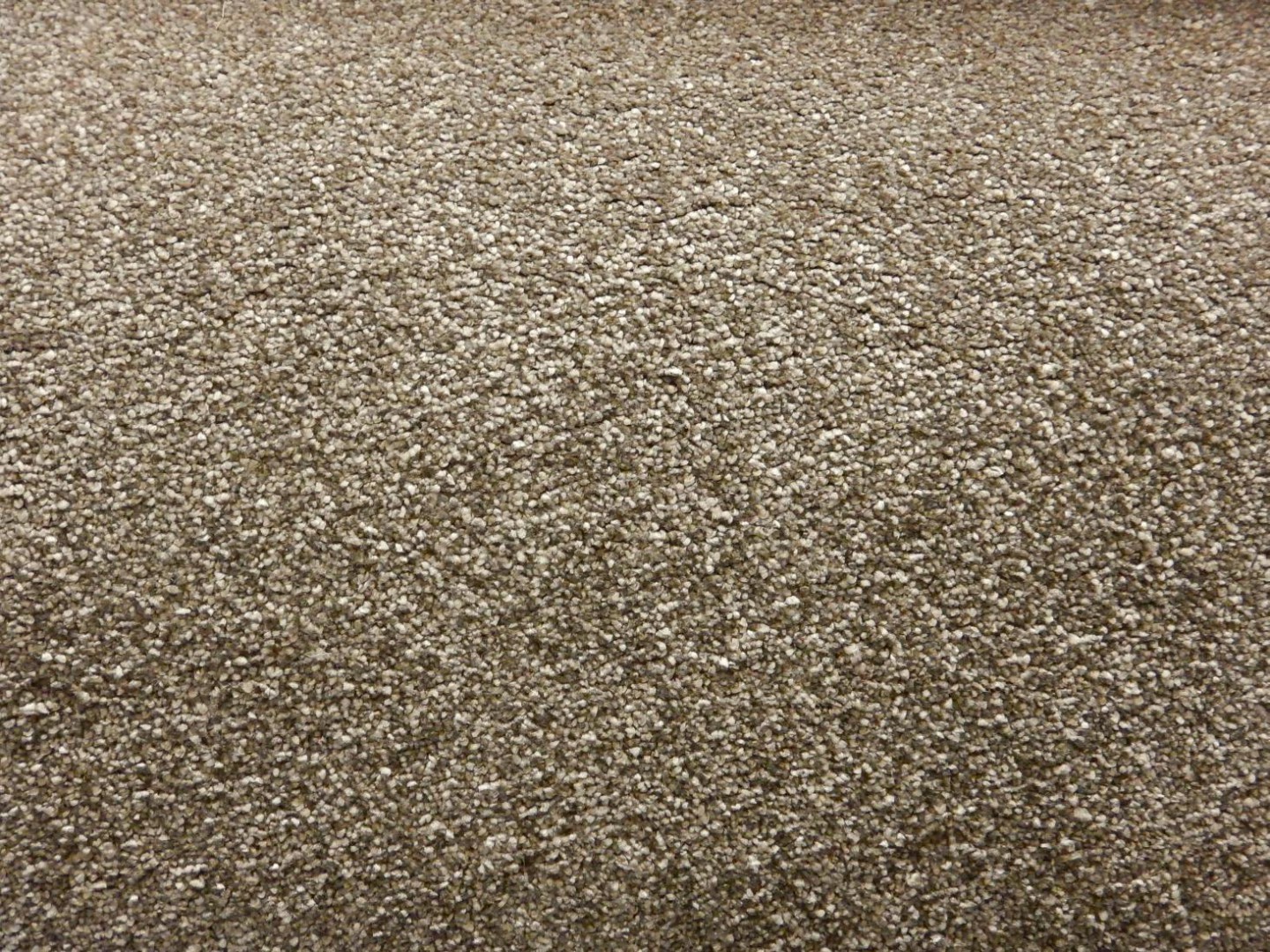 Condor Essential Classic 76