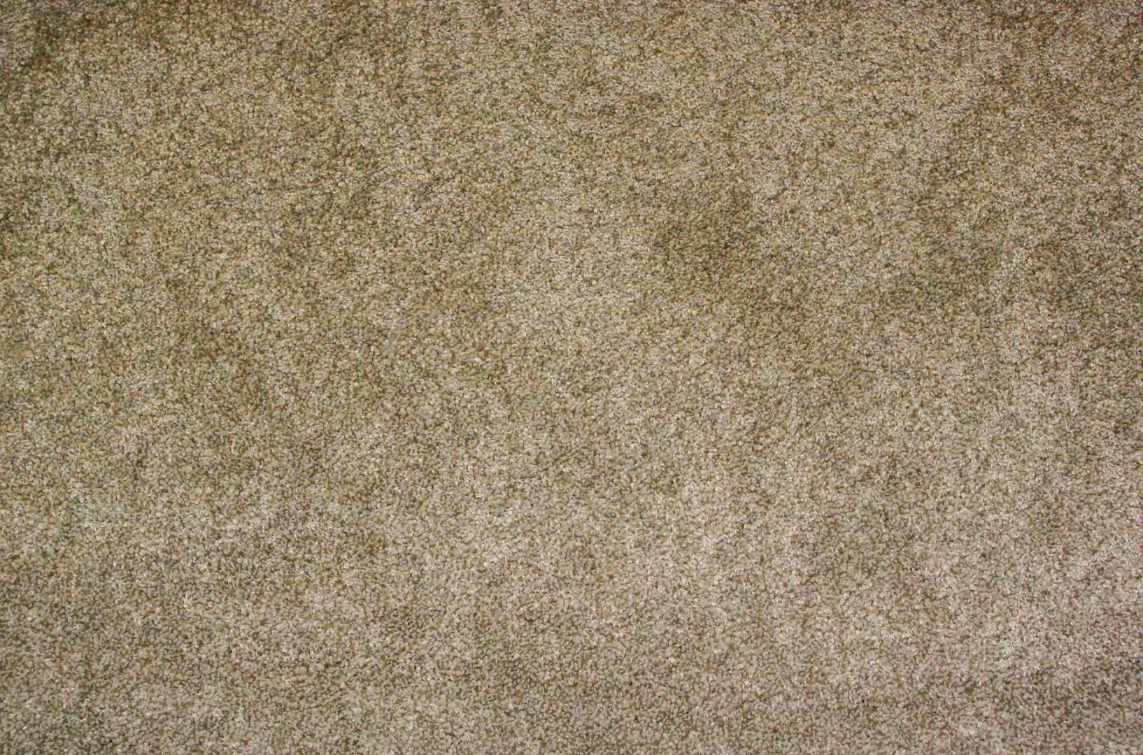 Condor Essential Classic 71