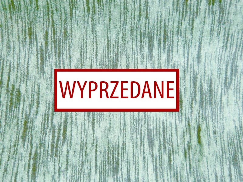 Condor Safari 40 zieleń