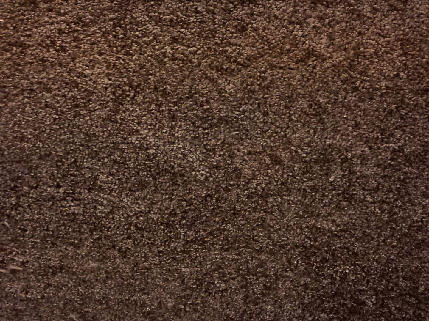 Condor Super Quartz 150 - wyprzedaż