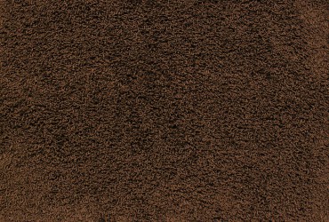 Curly 850 - wyprzedaż