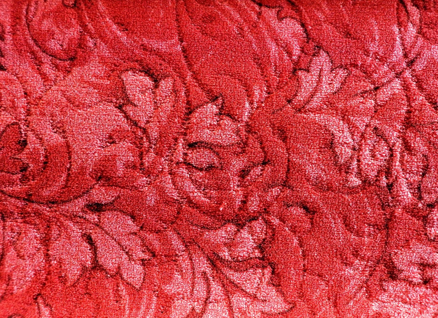 Balta Springfield 010