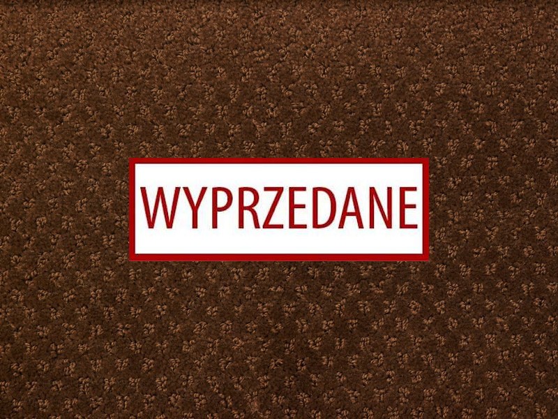 Balta ITC Saphir 043 Brąz - wyprzedaż