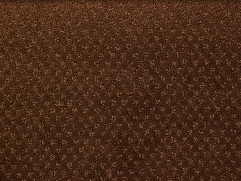 Balta ITC Saphir 043 Brąz - wyprzedaż