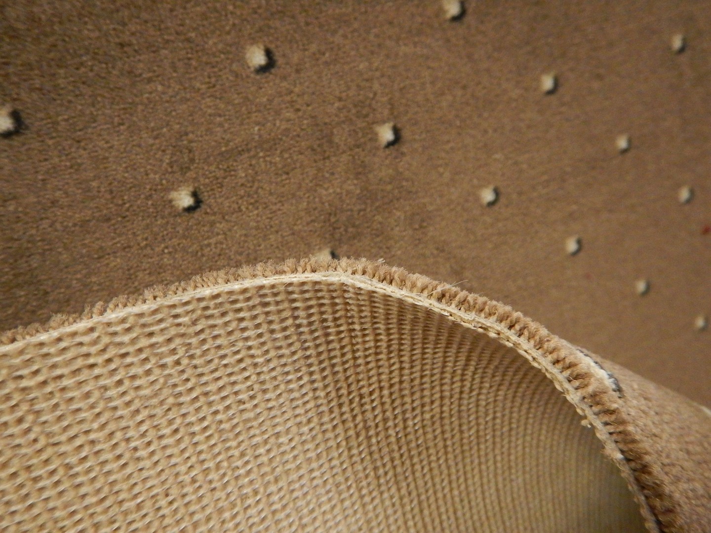 Balta ITC Strauss PM 043