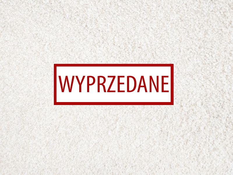 Condor Excellence 73 - wyprzedaż