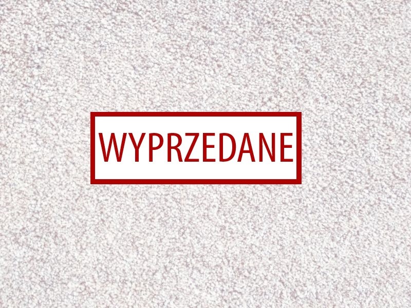 Condor Excellence 94 - wyprzedaż