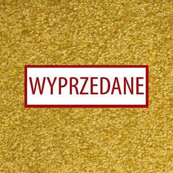 Condor Splendido 525