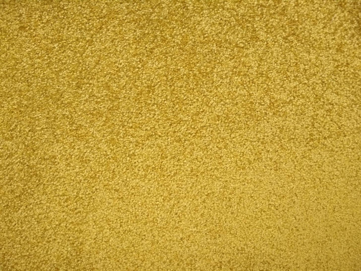 Condor Splendido 525