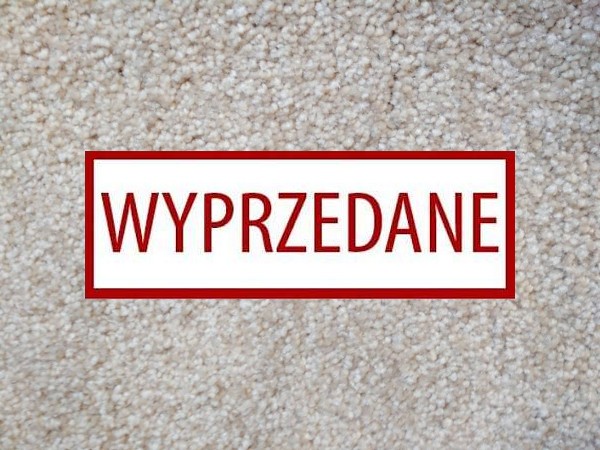 Condor Splendido 114