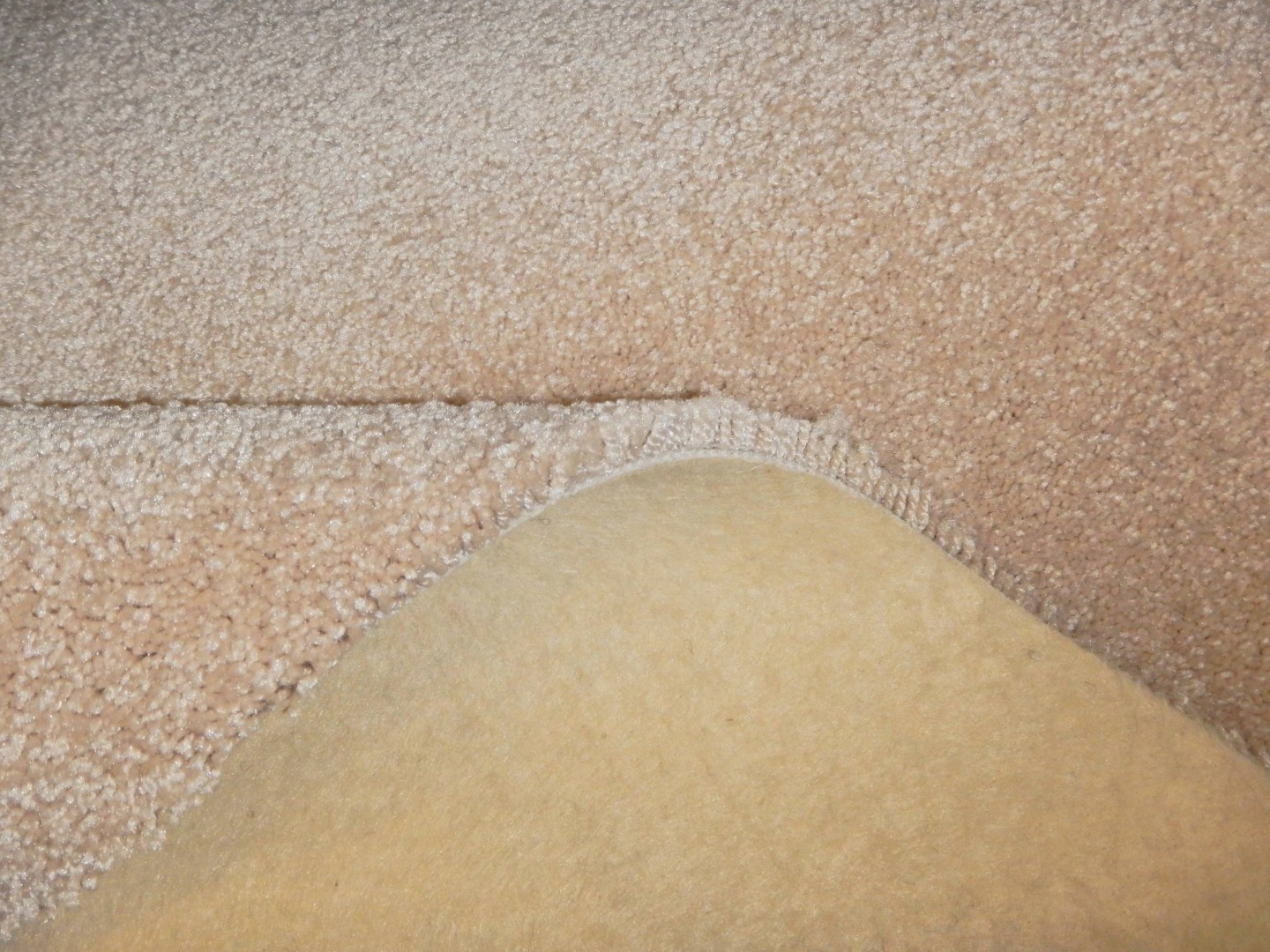 Condor Splendido 114