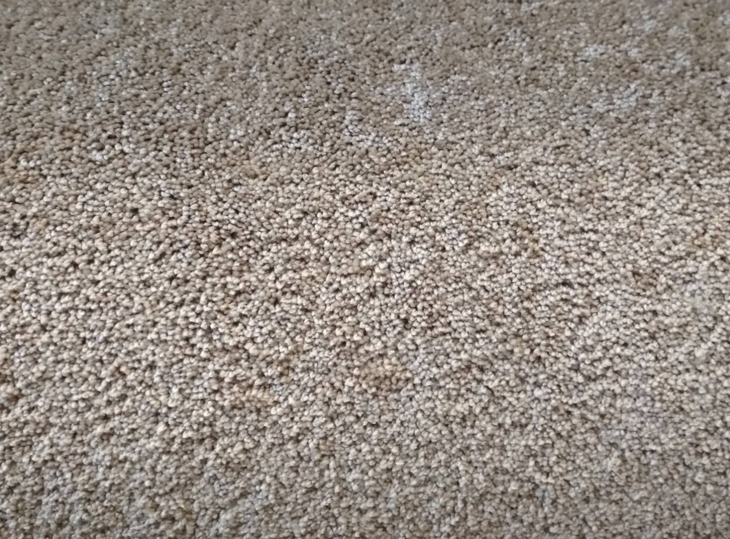 Condor Sunshine 73 - wyprzedaż