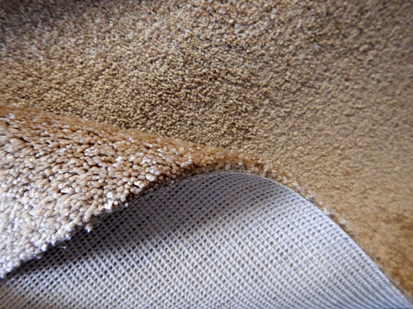 Condor Sunshine 73 - wyprzedaż