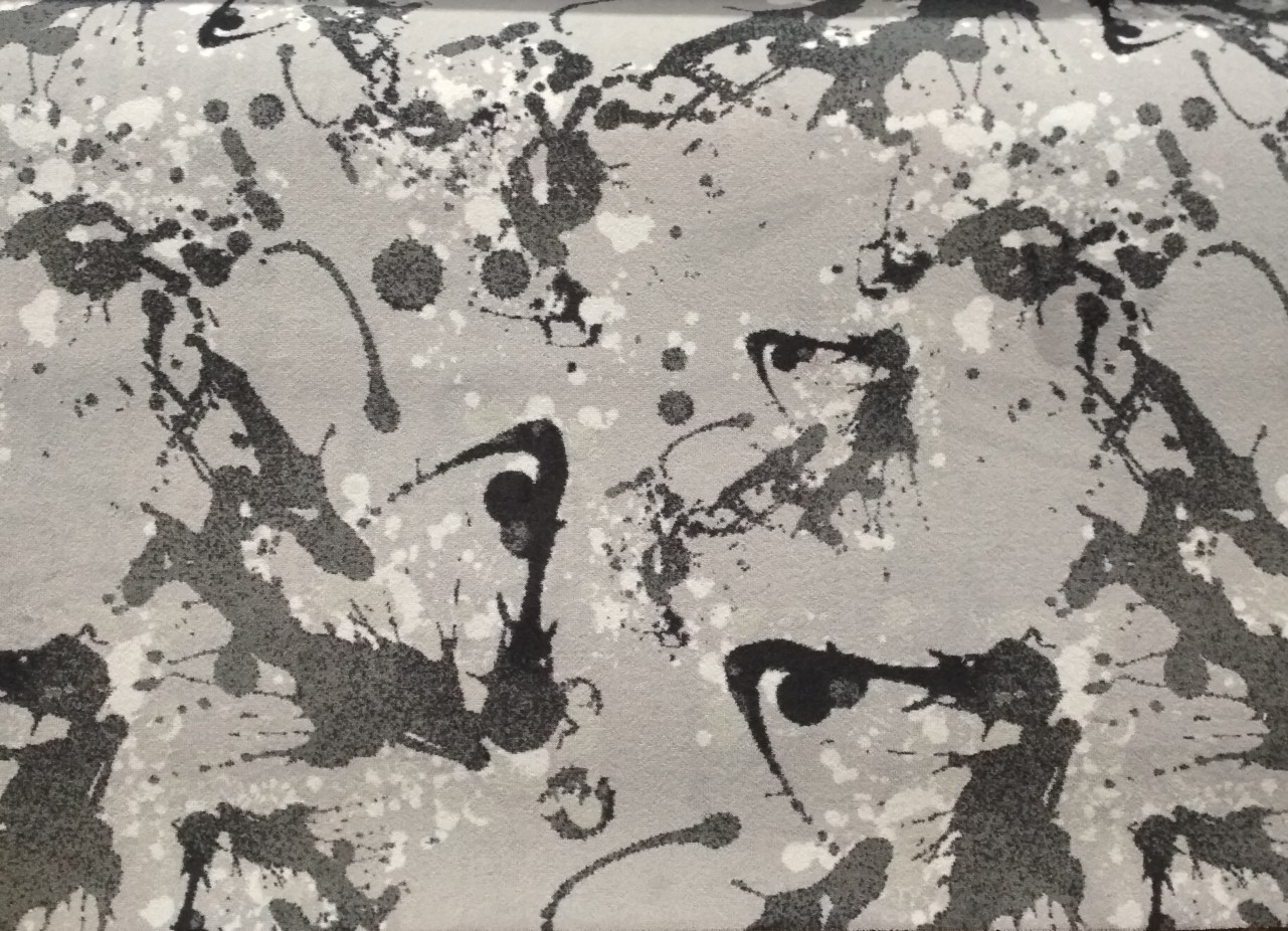 Beaulieu Carus Inte6 009