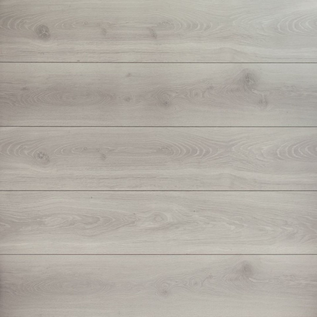 Weninger Dąb Pirenejski