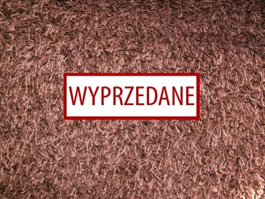 Capri 860 - wyprzedaż