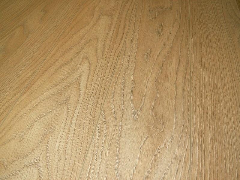 Classen Dąb Verden Śnieżny wyprzedaż