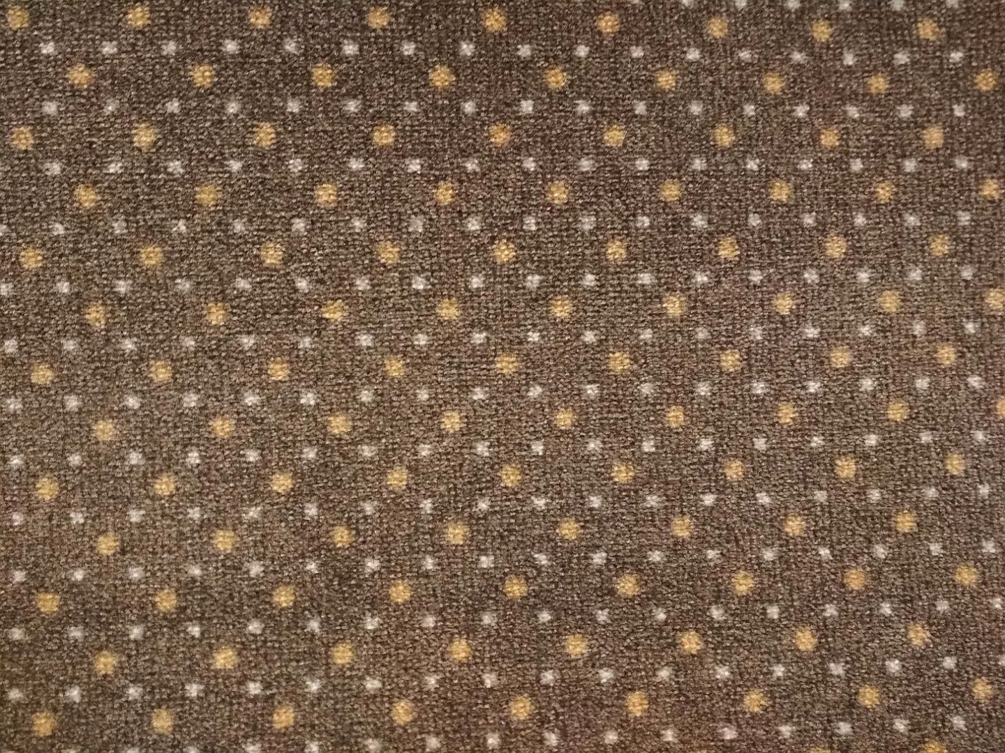 Beaulieu Carus Garda 917