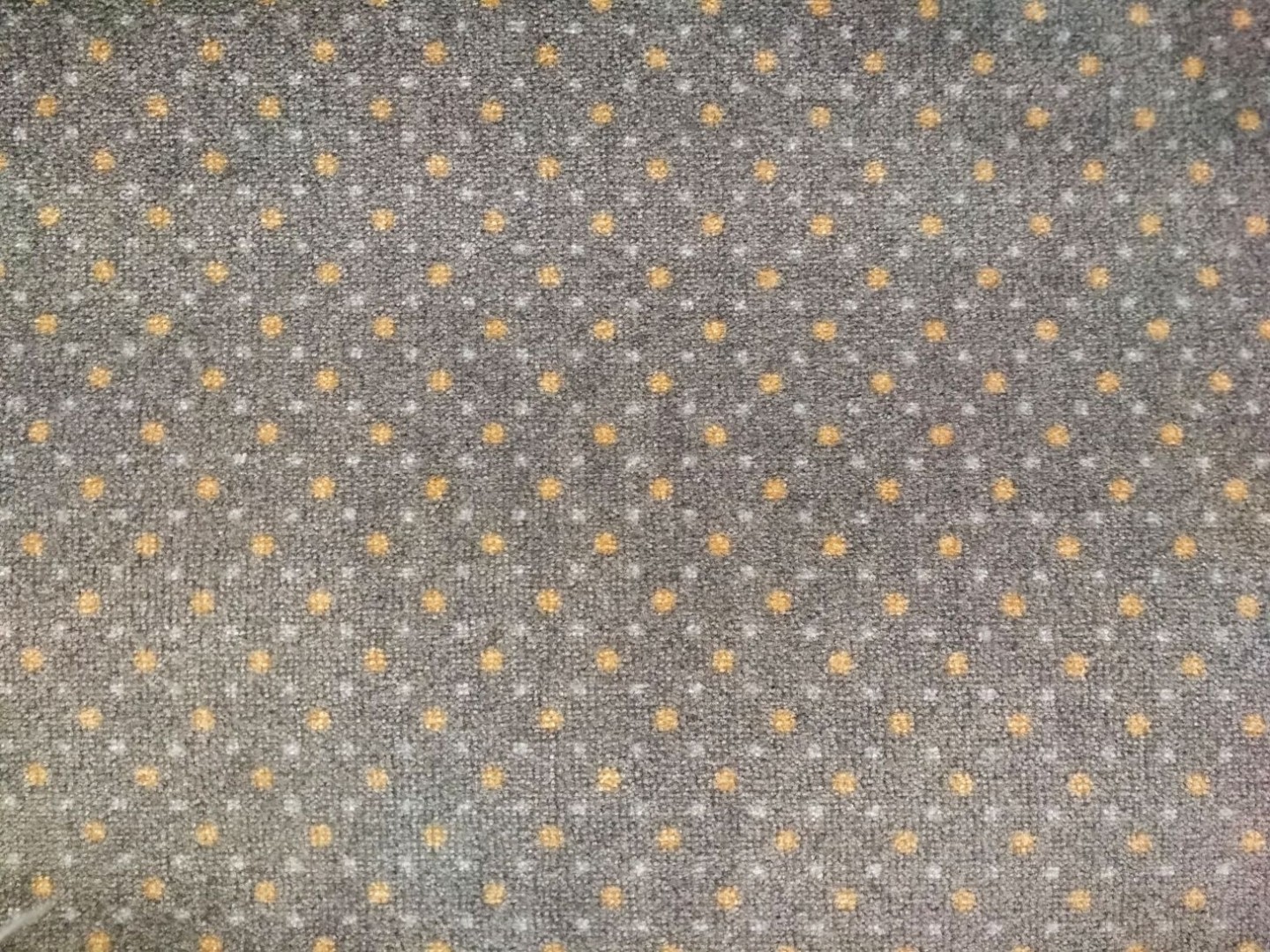 Beaulieu Carus Garda 129