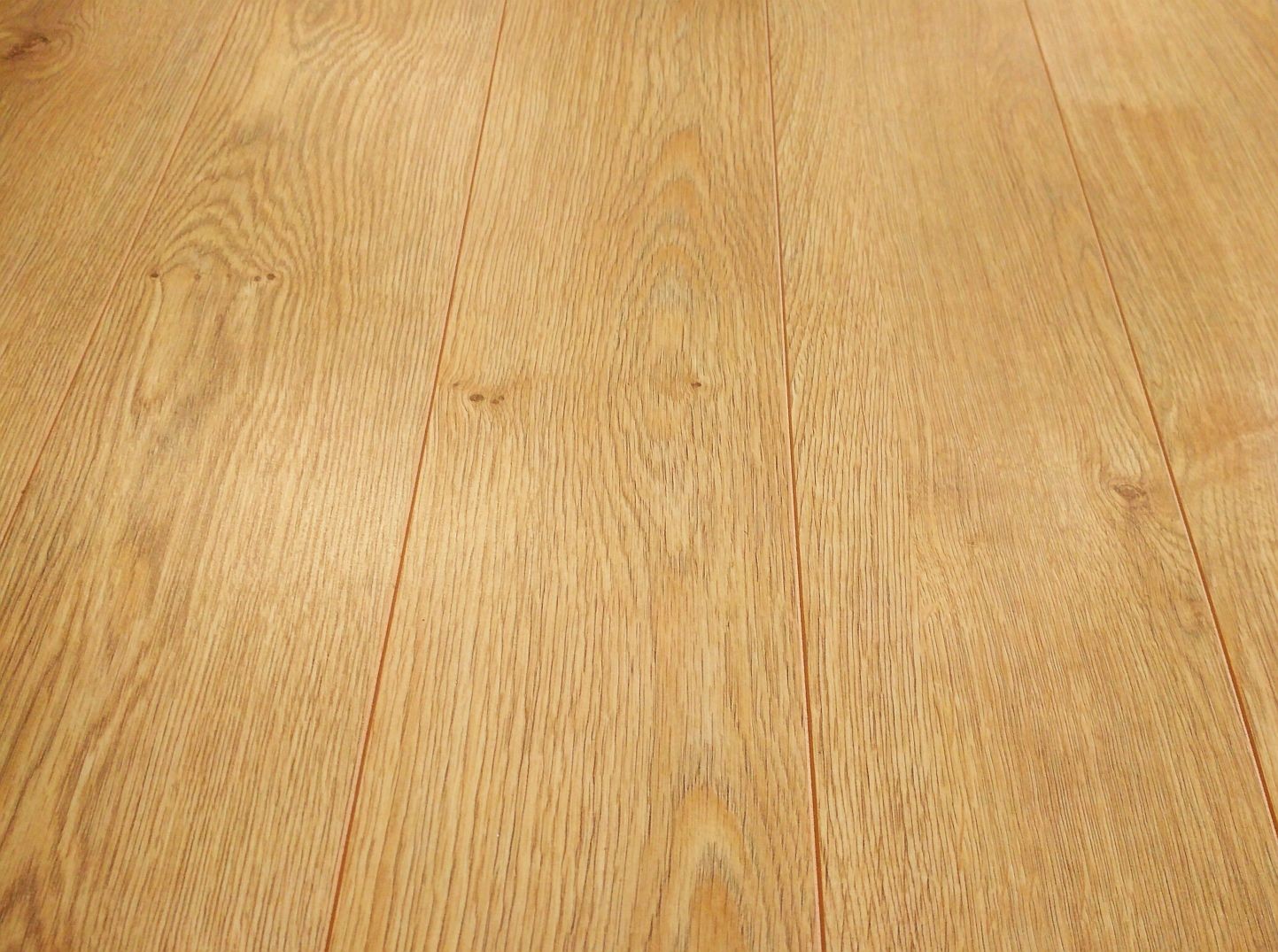 Classen Dąb Pasadena wyprzedaż