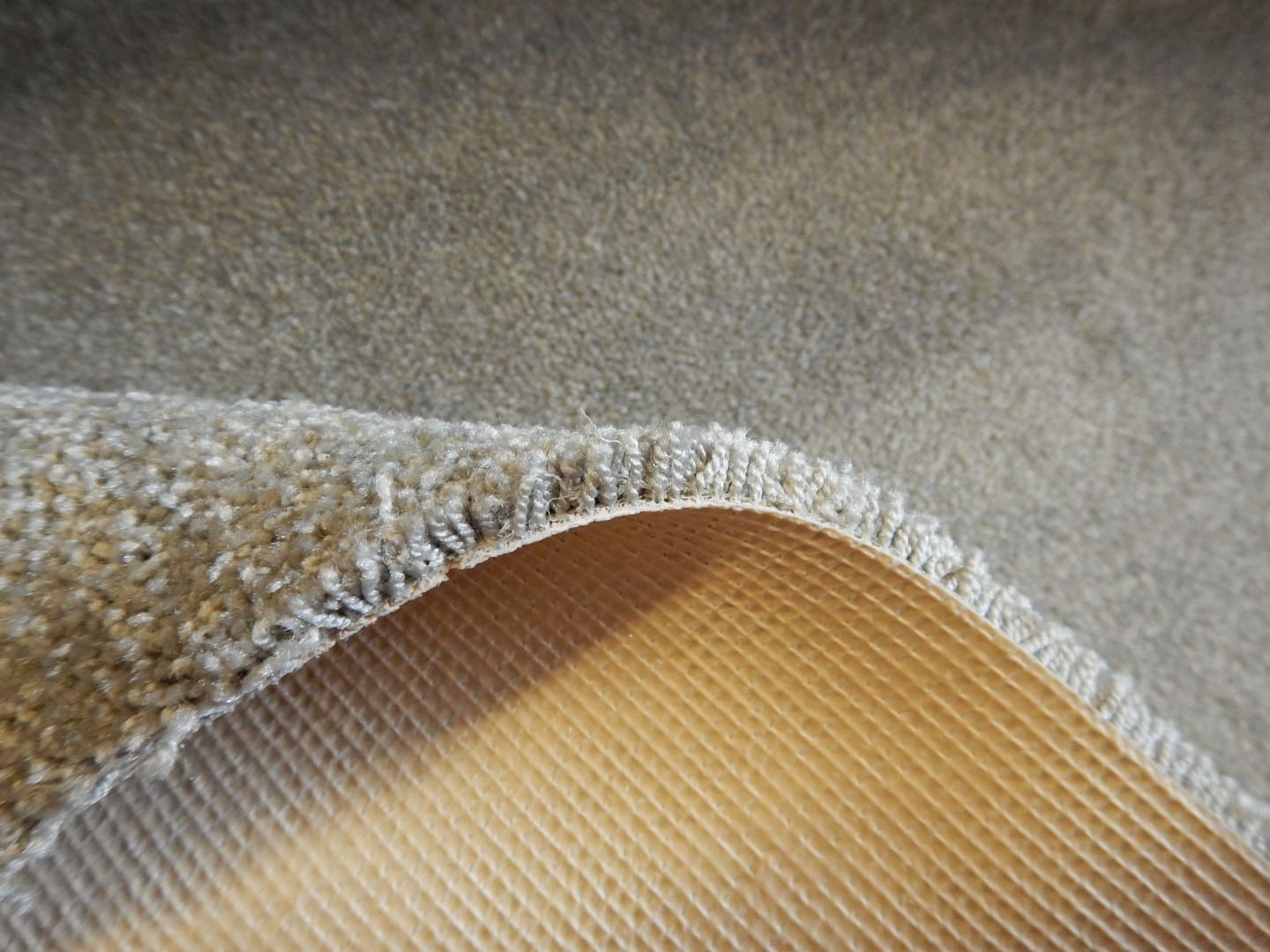 Condor Splendido 307