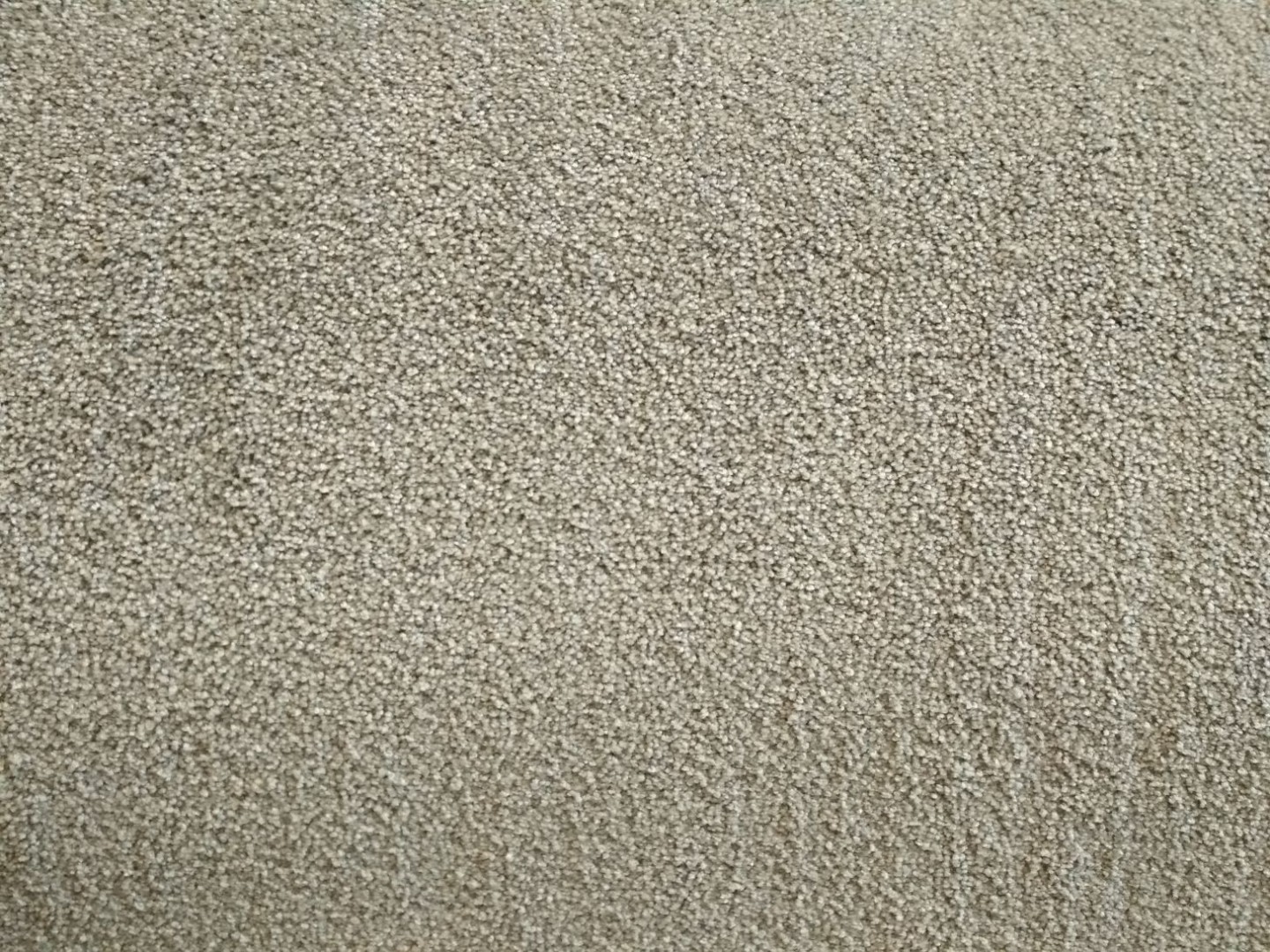 Condor Splendido 307