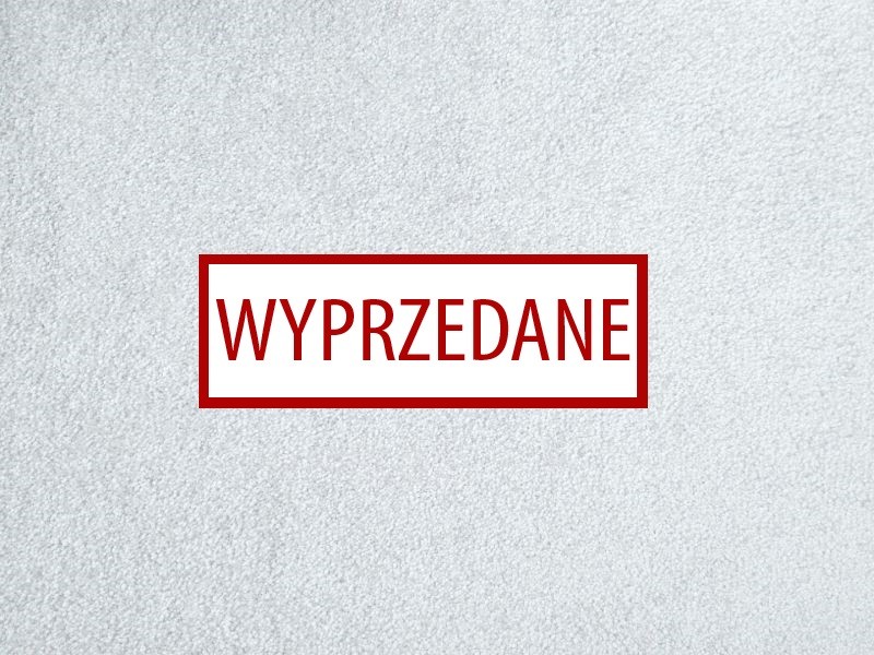 Condor Splendido 304