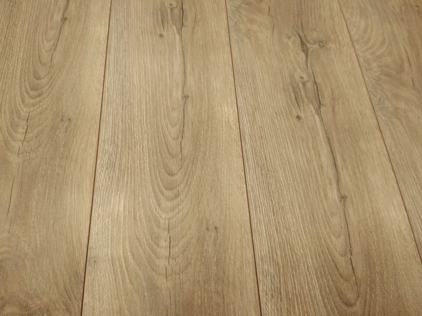 Classen Dąb Bradford