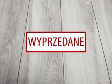 Classen Jesion Solano wyprzedaż