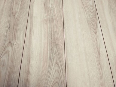 Classen Jesion Solano wyprzedaż