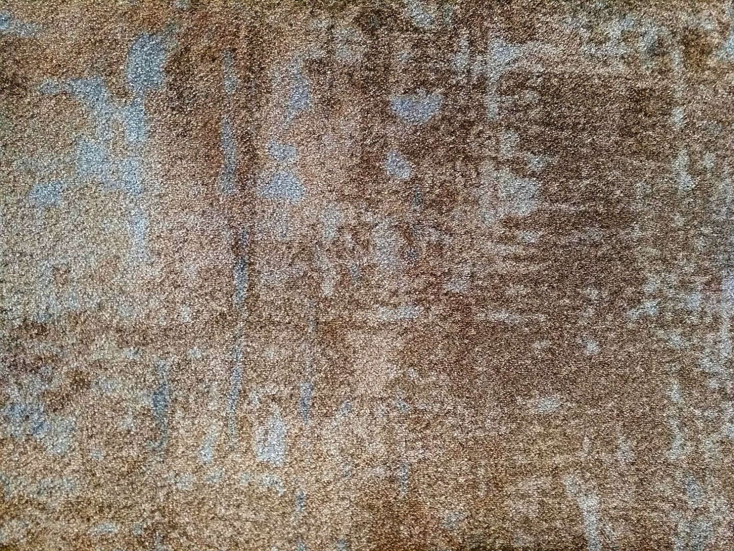 Carus Golden Gate 002 27996