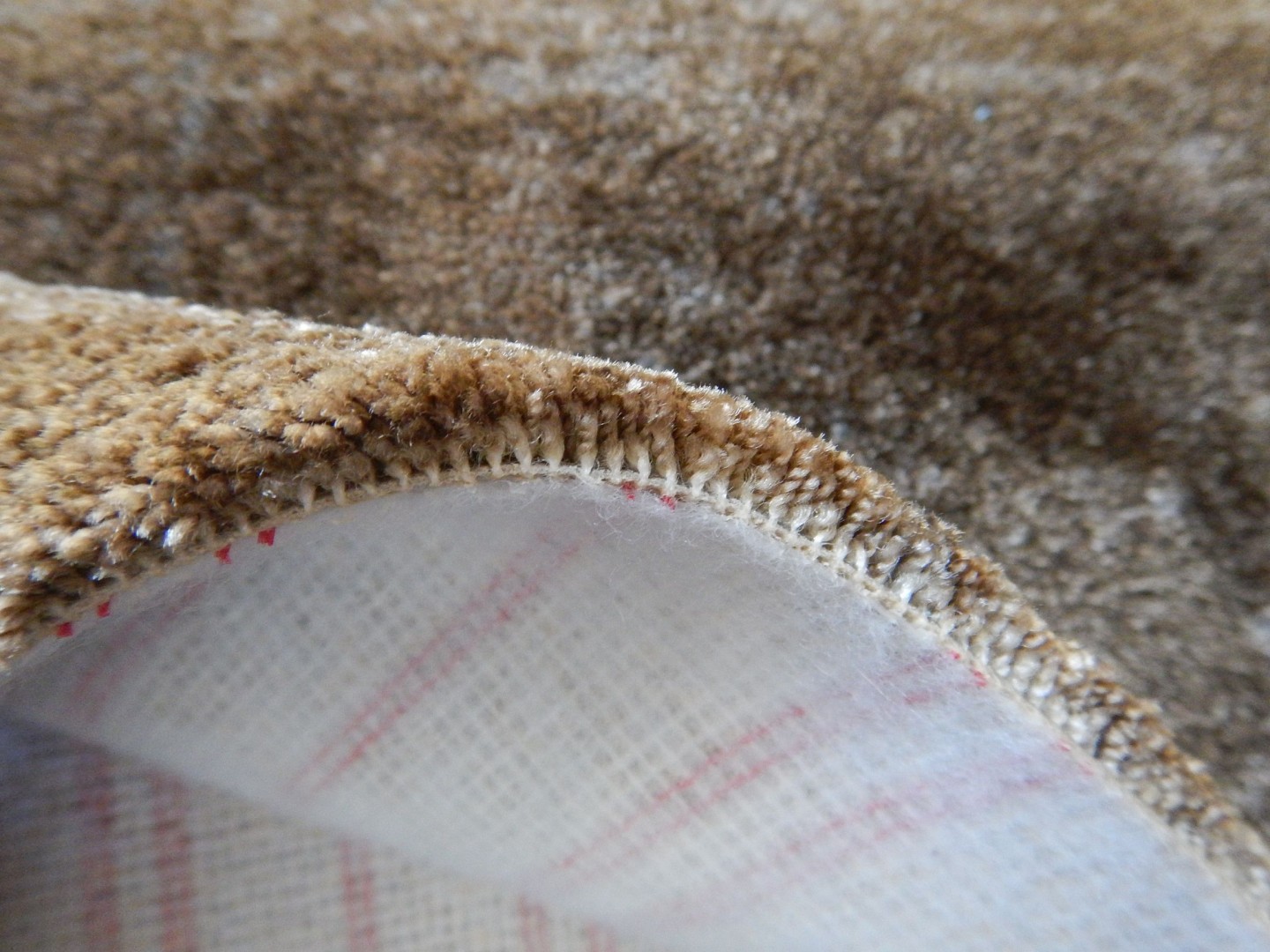 Carus Golden Gate 002 27996